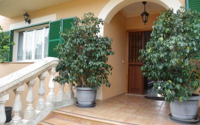 Freistehende Villa mit Pool in Cala Millor