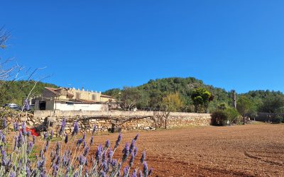 Finca in Son Catiu